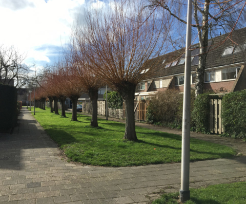 afb-nieuws-02-2019-culemborg