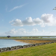 Ruimtelijke Verkenning Oostvaardersoevers Almere | bureau Nieuwe Gracht