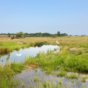 Gebiedsplan Voorveldse Polder bureau Nieuwe Gracht
