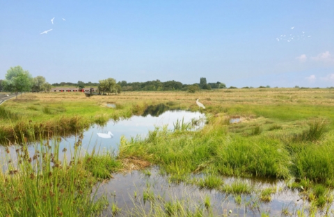 afb-nieuws-2020-10-gebiedsplan Voorveldse Polder De Bilt 2 Gebiedsplan Voorveldse Polder bureau Nieuwe Gracht