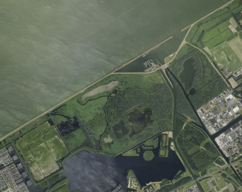 Uitwerkingsplan Lepelaarplassengebied – uit de lucht stedenbouw en landschap bureau Nieuwe Gracht Utrecht Uitwerkingsplan Lepelaarplassengebied Natte Graslanden Wilgenbos Wilgeneiland Vaartsluisbos gemeente Almere Het Flevo-landschap