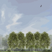 stedenbouw en landschap bureau Nieuwe Gracht Utrecht Uitwerkingsplan Kotterbos Vaartzone Vaartplas Staatsbosbeheer gemeente Almere gemeente Almere