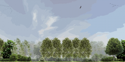 Bostypen bos stedenbouw en landschap bureau Nieuwe Gracht Utrecht Uitwerkingsplan Kotterbos Vaartzone Vaartplas Staatsbosbeheer gemeente Almere gemeente Almere