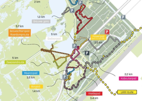 afb-nieuws-2025-06-verkeersstromenNPNL_zoom