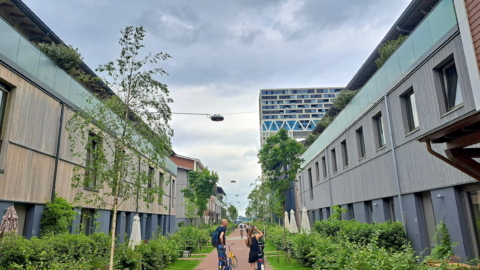 afb-nieuws-2025-07-bureau-excursie