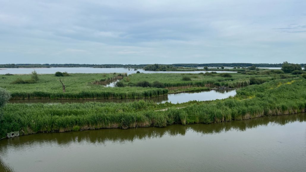 afb2-GP NPNL Lelystad