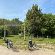 ontwikkelperspectief stadsbossen Lelystad