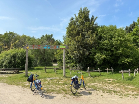 afb-nieuws-2026-05 stadsbossen Lelystad ontwikkelperspectief stadsbossen Lelystad